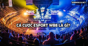 cược Esport W88 là gì? Các game Esport W88 tổ chức cá cược?