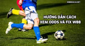 Hướng dẫn cách xem odds và fix của nhà cái trực tuyến W88