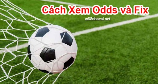 Hướng dẫn cách xem odds và fix 