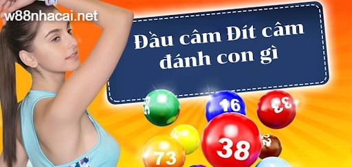 Tại W88 có cả đề đầu đuôi câm 