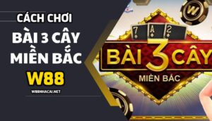 Chi tiết về cách chơi bài 3 cây miền bắc W88 nhanh trúng