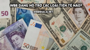 W88 đang hỗ trợ các loại tiền tệ nào?