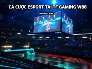 Cá cược Esport tại TF Gaming W88 - Trải nghiệm cực đáng nhớ!