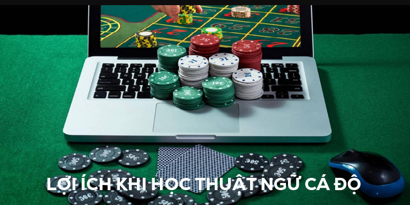 Lợi ích nhận được khi học thuật ngữ 