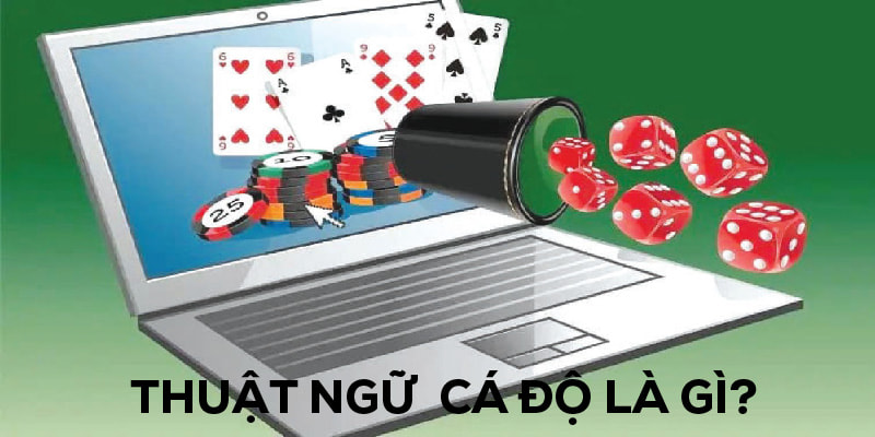 Tìm hiểu thuật ngữ cá độ online