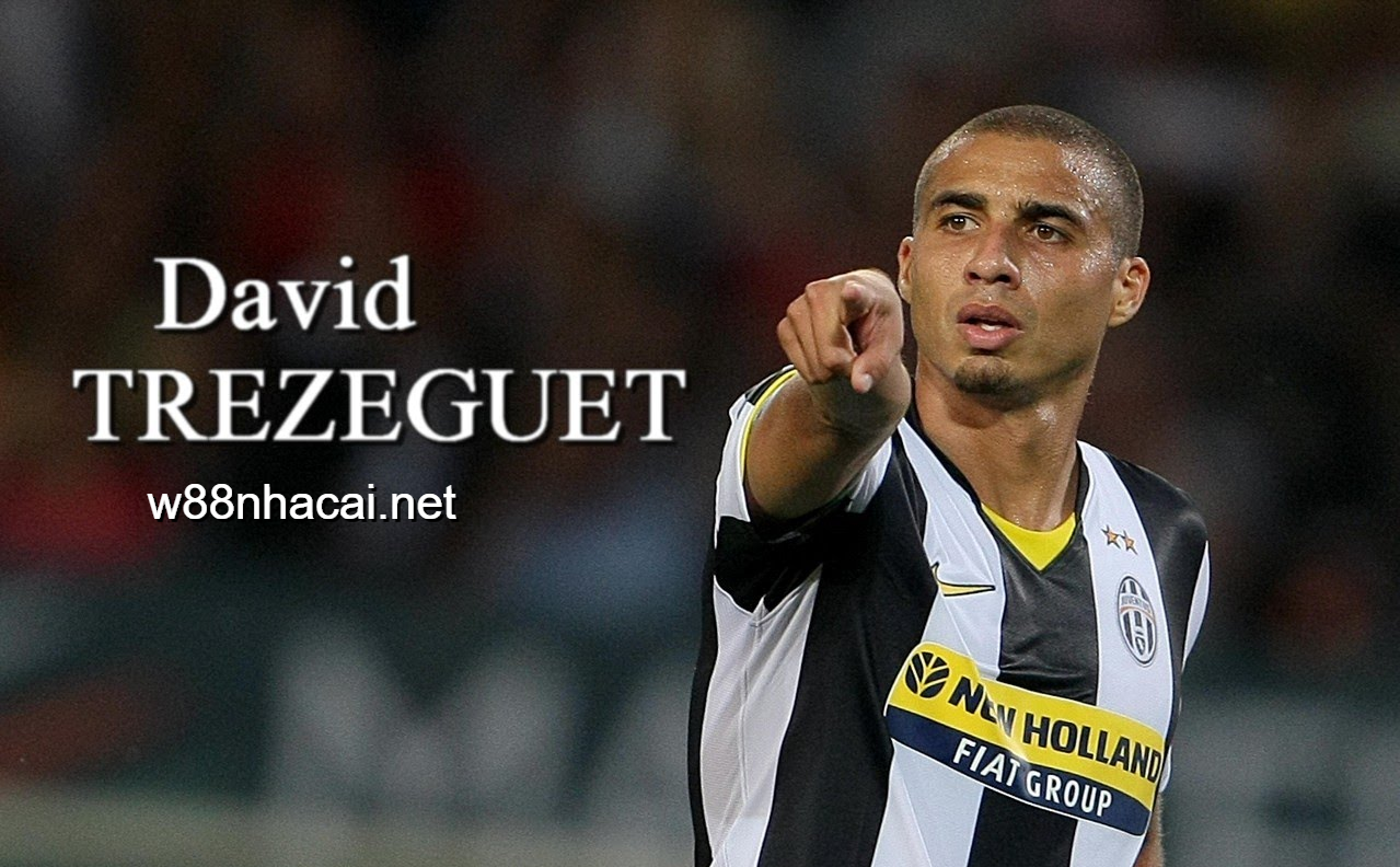 David Trezeguet ghi bàn thắng vàng