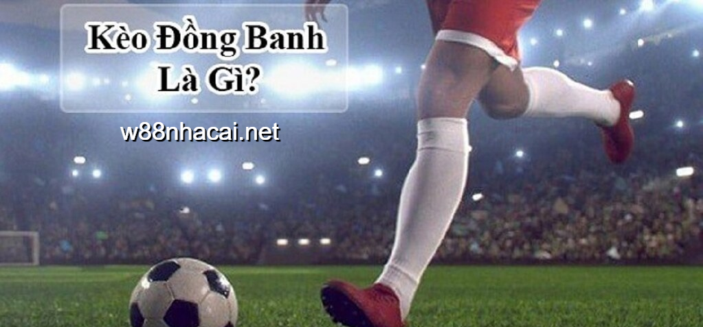 Hiểu rõ kèo đồng banh là gì