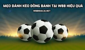 mẹo đánh kèo đồng banh W88