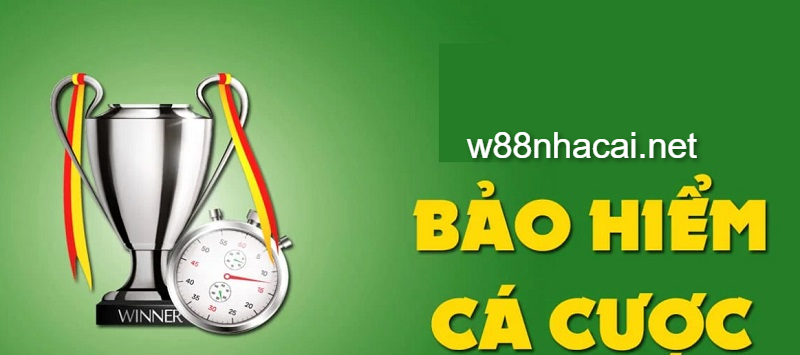 Tìm hiểu bảo hiểm cược