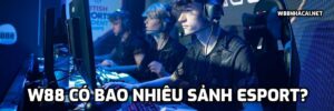 W88 có bao nhiêu sảnh Esport?