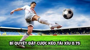 Bí quyết đặt cược kèo tài xỉu 0.75