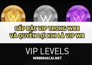 VIP trong W88